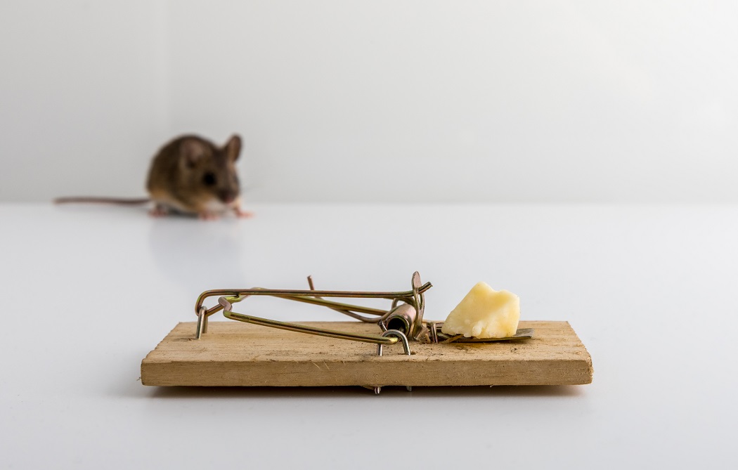 Finding the Perfect Mousetrap